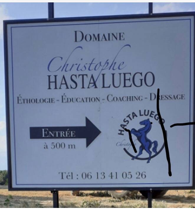 Spectacles équestres, éhologie, éducation, coaching et dressage à Nîmes Gard 30 Domaine Christophe HASTA LUEGO