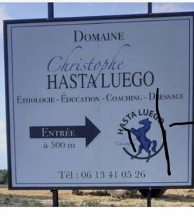 Spectacles équestres, éhologie, éducation, coaching et dressage à Nîmes Gard 30 Domaine Christophe HASTA LUEGO